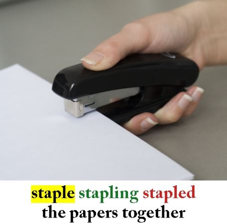 Staple